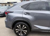 Lexus NX 300h 2.5 Hybrid 4WD 2021 Automatic Hybrid
