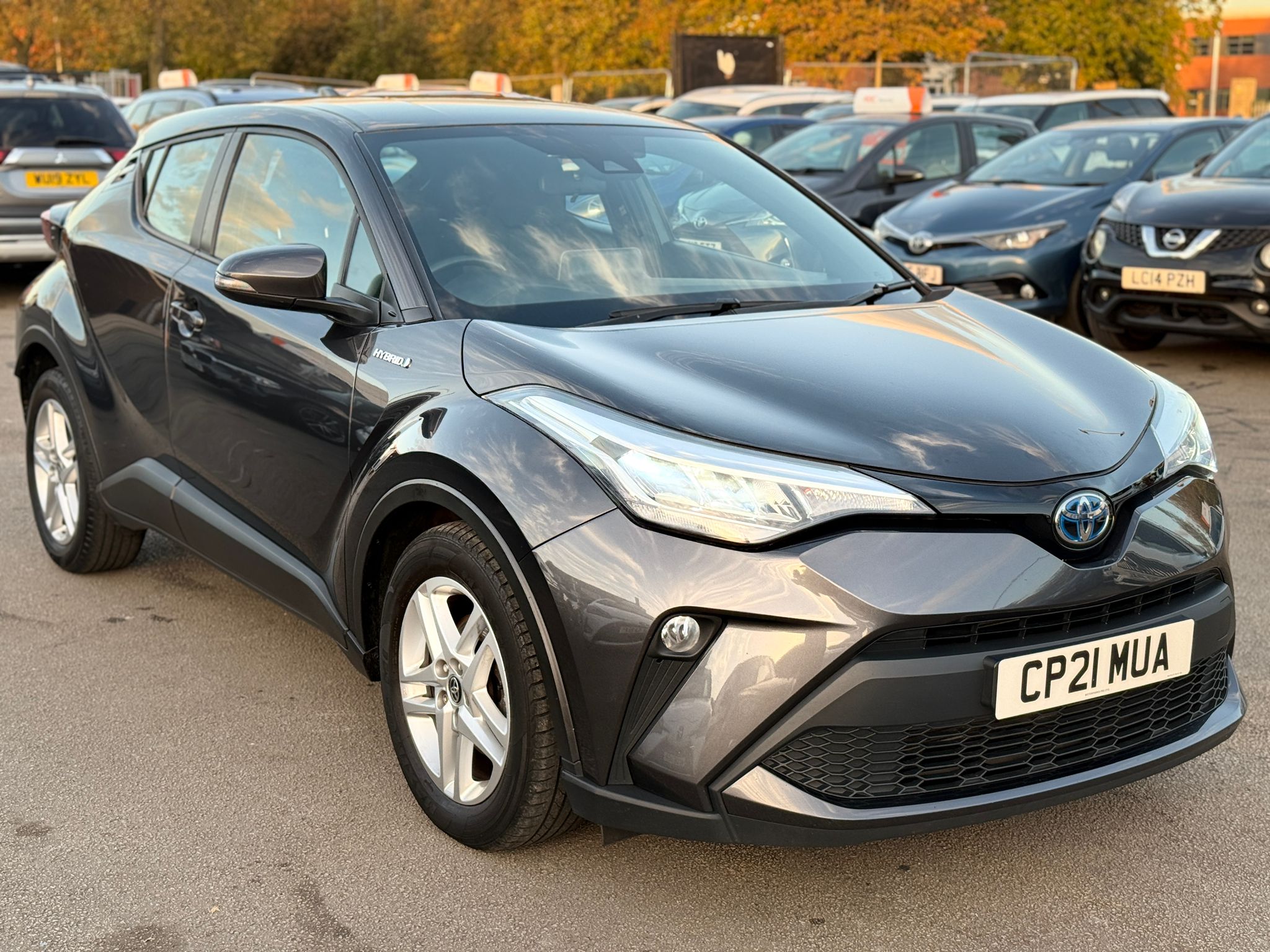 Toyota C-HR Icon 2021