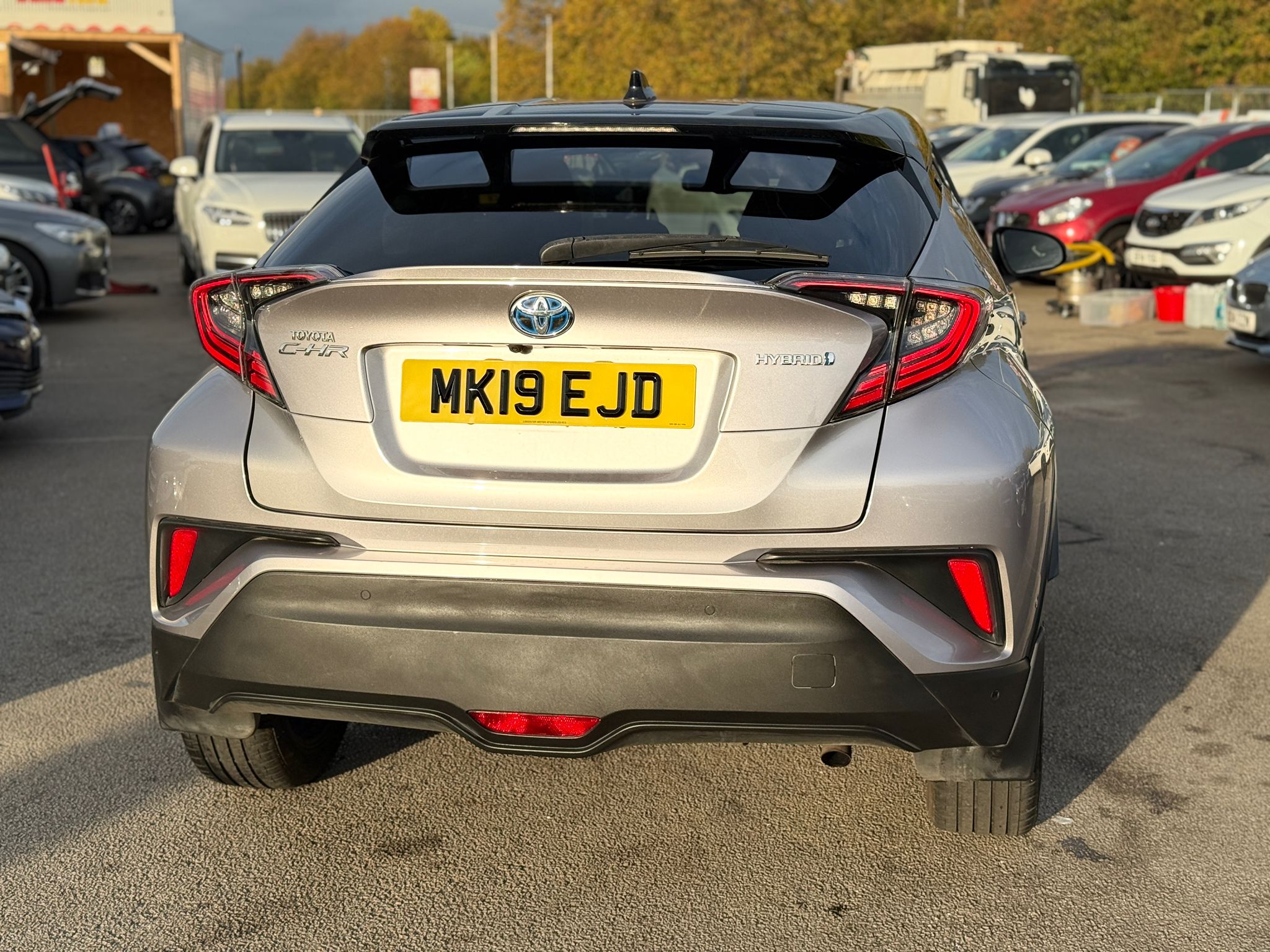 Toyota C-HR Dynamic (2019)