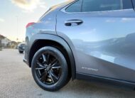 2020 LEXUS UX 250h 2.0 HYBRID (E-CVT)