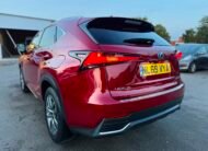Lexus NX300H 2019