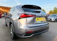Lexus NX300H 2020