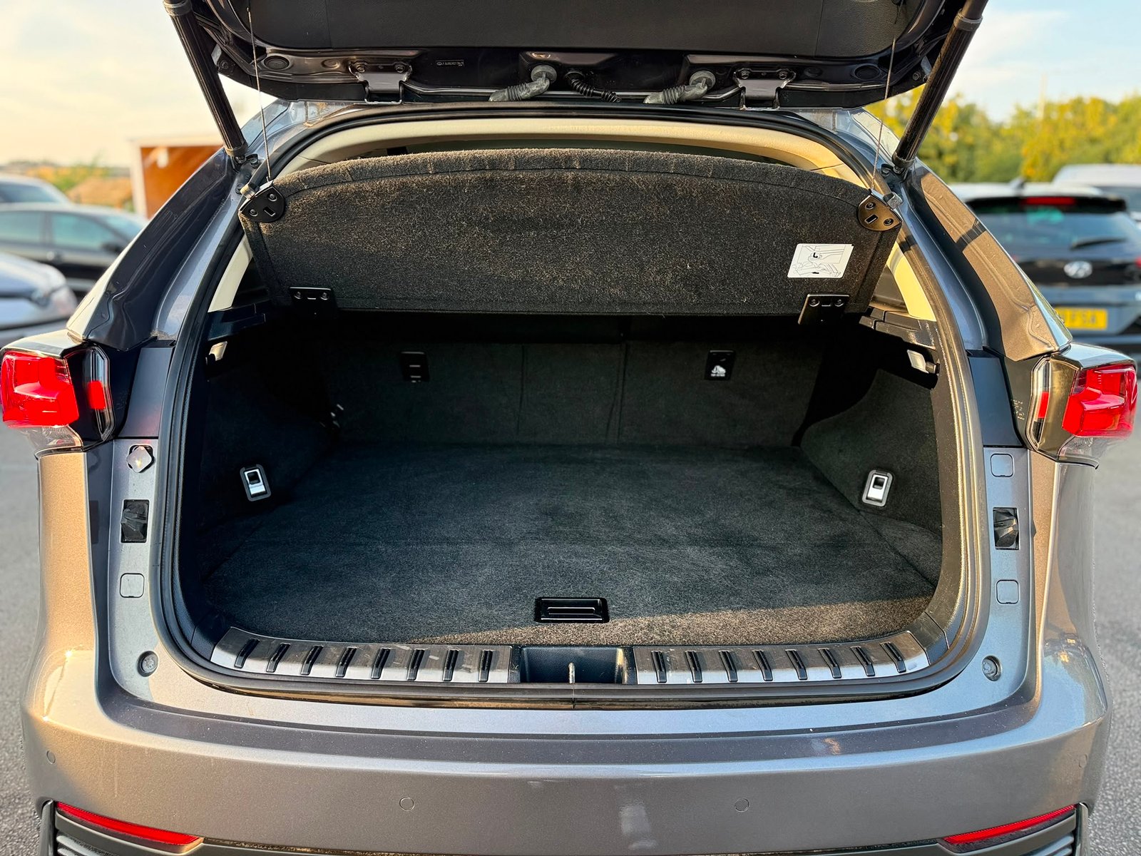 Lexus NX300H 2020