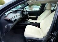 Lexus UX 300E 2021