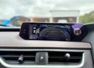 Lexus UX 300E 2021