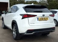Lexus NX Luxury-2018
