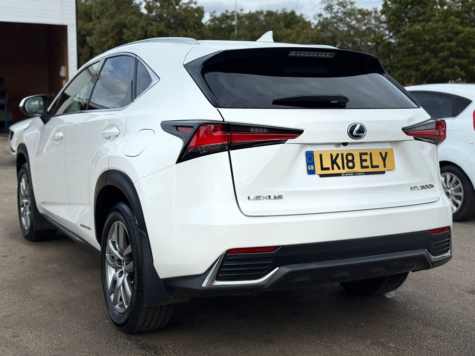 Lexus NX Luxury-2018