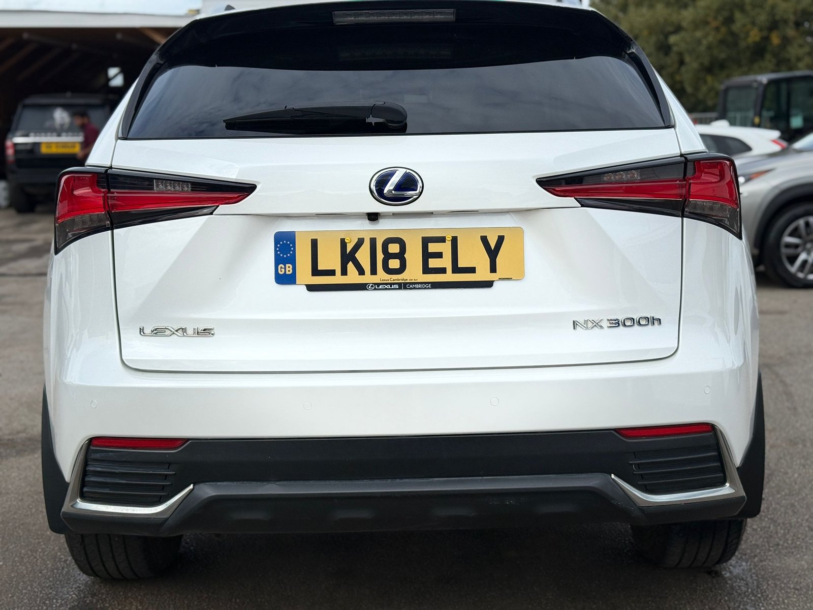 Lexus NX Luxury-2018