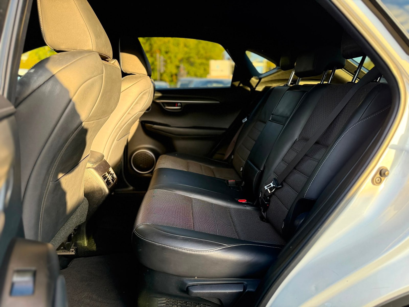 Lexus NX F Sport-2015
