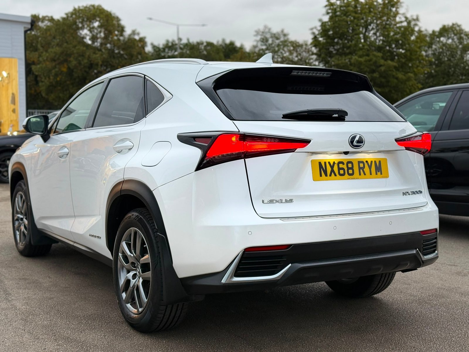 Lexus NX Luxury-2018