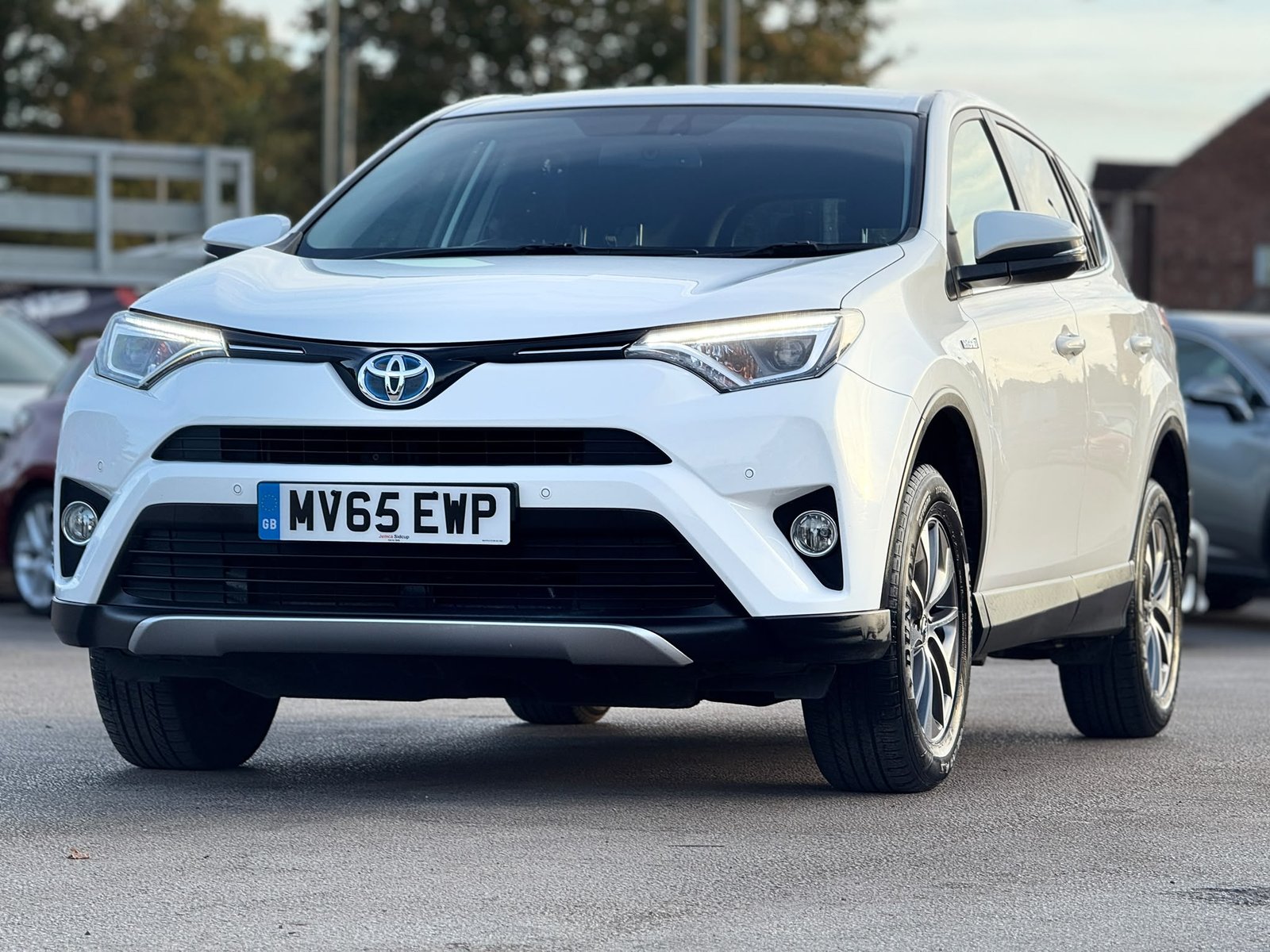 Toyota RAV4 Business Edition Plus-2016