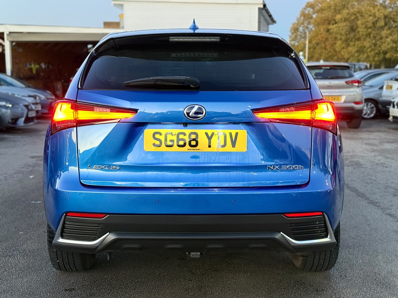Lexus NX300H Luxury-2018