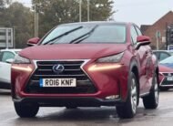 Lexus NX300H Premier-2016