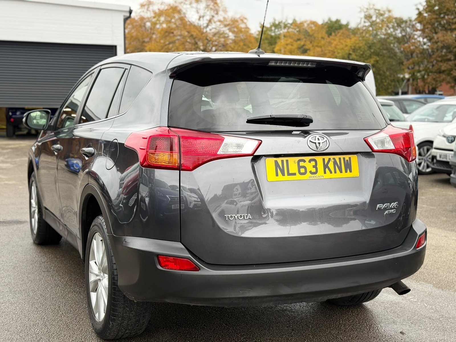 Toyota RAV4 Icon-2013