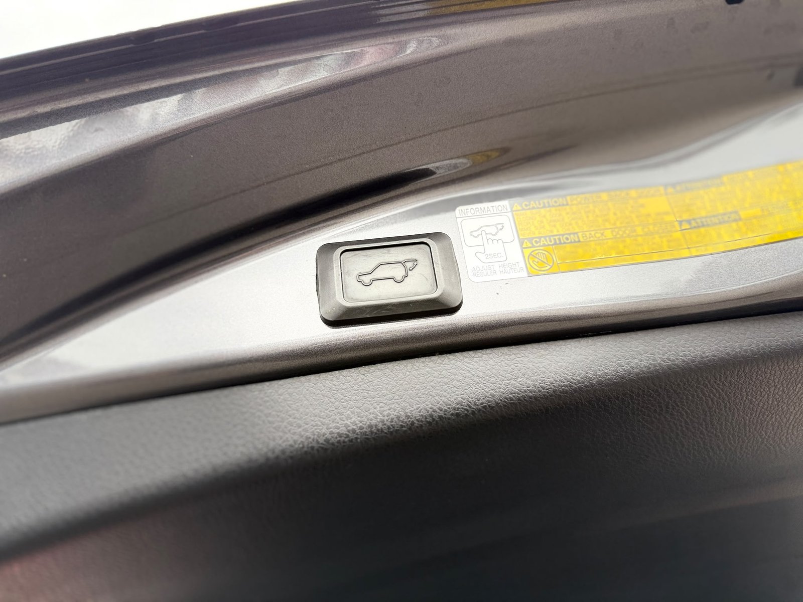 Toyota RAV4 Icon-2013