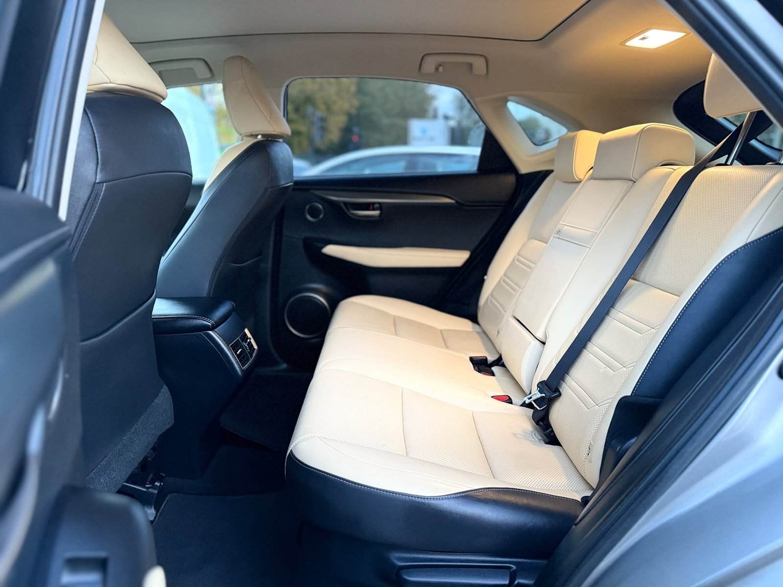 Lexus NX300h Luxury-2017