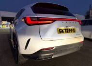 Lexus NX350h 2022